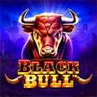 Black Bul